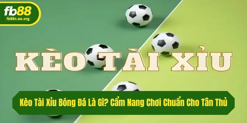 Kèo Tài Xỉu Bóng Đá Là Gì? Cẩm Nang Chơi Chuẩn Cho Tân Thủ